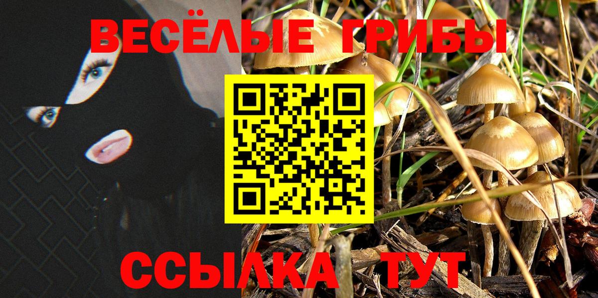 Галлюциногенные грибы мухоморы Можайск